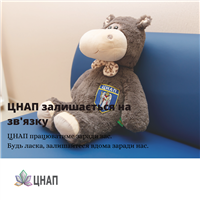 ЦНАП залишається на зв'язку