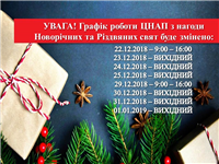 новій год