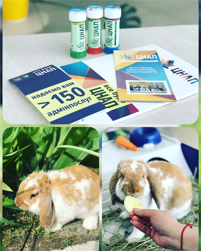 31.05.2019